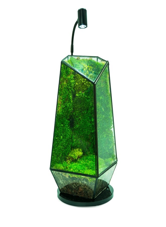 HIRO Aquatics MINI Terrarium Aquarium Black Spotlight for Potted Plants, Betta Fishes, Bottle Jars, Displays, Indoor Plant, Succulents, Air Plants - Image 3